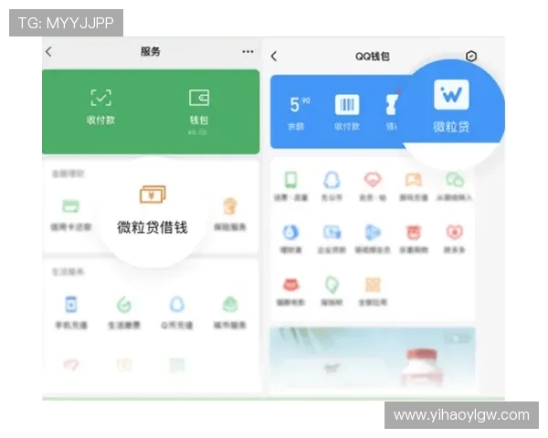 壹号玩家官网入口安全可靠的登录入口推荐与使用指南