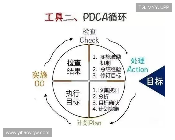 探索壹号平台在商业运营中的应用，提升效率与管理水平的关键